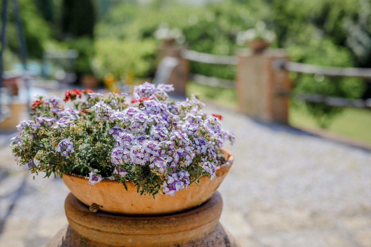 Villa Loghino Volterra Exterior foto